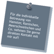 Fr die individuelle Betreuung von Hamster, Kaninchen,  Meerschweinchen und Co. nehmen Sie gerne direkten Kontakt mit mir auf!