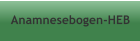 Anamnesebogen-HEB