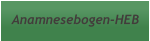 Anamnesebogen-HEB